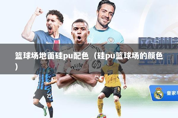 篮球场地面硅pu配色（硅pu篮球场的颜色）